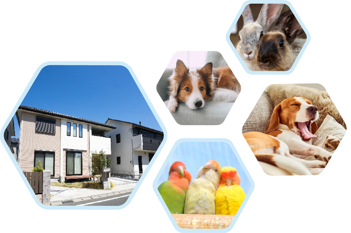 ”六角形の窓が4つあります。各窓には一戸建ての家が1軒・